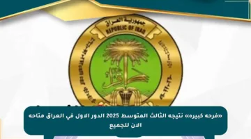 «فرحة كبيرة» نتيجة الثالث المتوسط 2025 الدور الأول في العراق متاحة الآن للجميع
